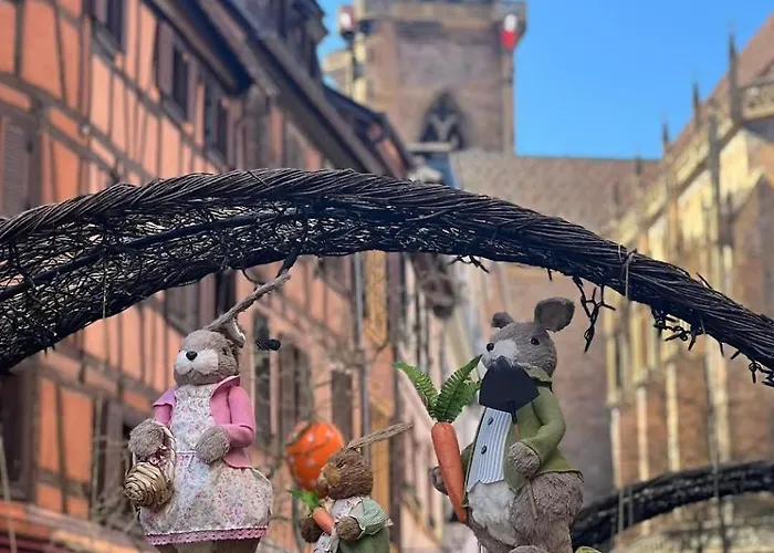 Centre De Zum Harzala